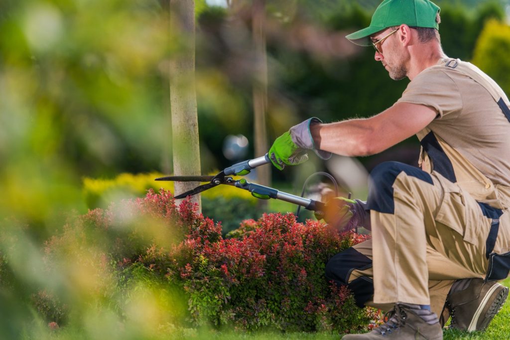 worker clipping landscape