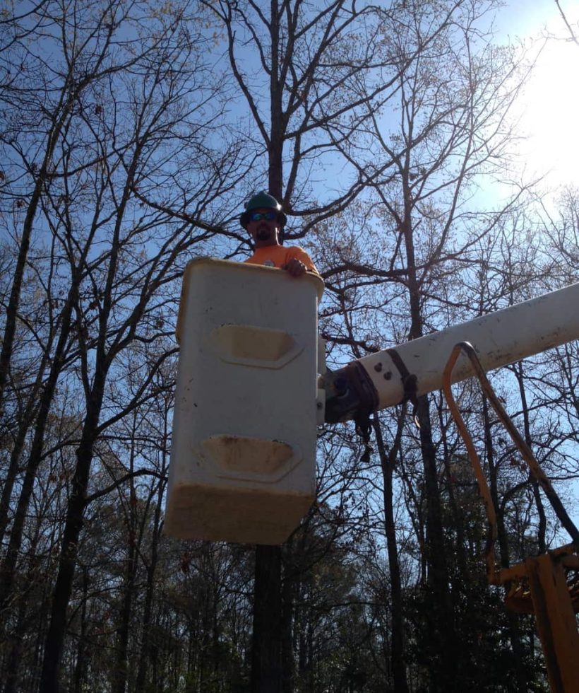 a tree trimmer in a bucket getting ready to trim a tree